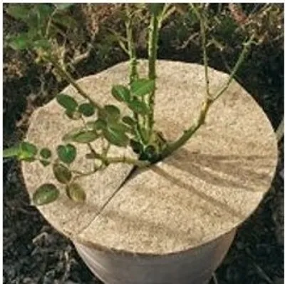 Produktbild von Kokos Mulchscheibe Ø 15 cm