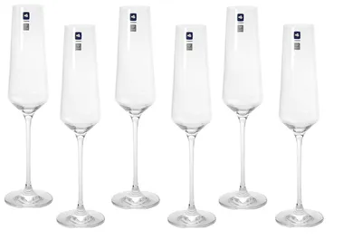 Produktbild von LEONARDO Sektkelch "Puccini" 280 ml, 6er Set