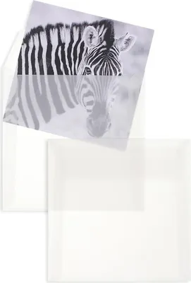 Produktbild von Transparente Briefumschläge - Weiß (Transparent-Weiß)170 x 170 mm | 100 g/qm Offset | Ohne Fenster | Haftklebung | Gerade Klappe | 100 Stück