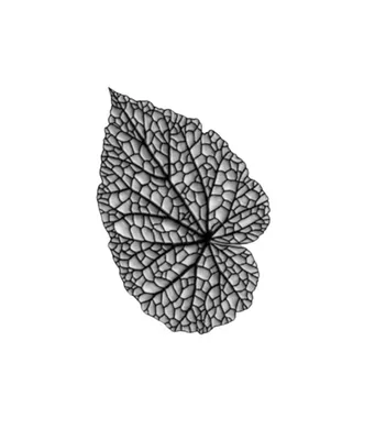 Produktbild von Metallwandkunst, Blatt-Design, 70x90 cm, Schwarz