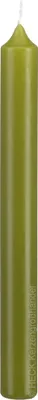 Produktbild von Altarkerze Farbe Grün 300 x 30 mm, 1 Stück