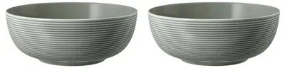 Zdjęcie produktu dla Seltmann Weiden - Zestaw 2 misek 20cm Beat Color Glaze szary