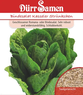 Produktbild von Romanasalat hoher | Romanasalatsamen von Dürr Samen