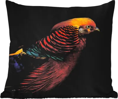 Produktbild von MuchoWow® Outdoor Kissen - Vogel - Federn - Schwarz - Porträt - 40x40 cm - Wetterfest - Lounge Kissen - Kopfkissen - Interieur - Polster mit Bild