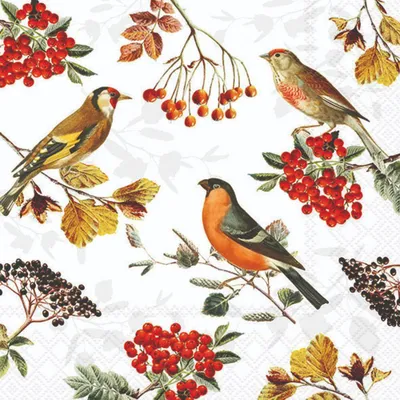 Produktbild von Servietten 33x33 cm - Autumn birds