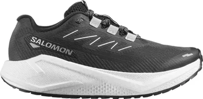 Image de Chaussures Salomon Aero Blaze 3 GRVL L49218300000