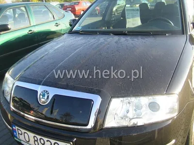 Image de Grille de radiateur d'hiver Skoda Superb I. 2002-2006