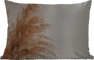 Produktbild von MuchoWow® Outdoor Kissen - Gras - Pflanzen - Natur - Pampasgras - 60x40 cm - Wetterfest - Lounge Kissen - Zierkissen - Kissen für Innenräume