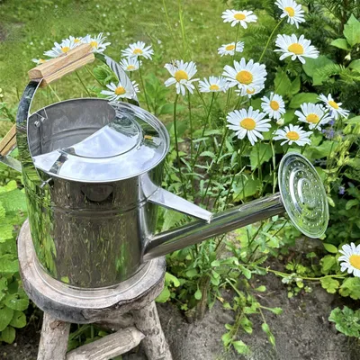 Produktbild von Gießkanne aus Edelstahl, Silber, Deko-Kanne, Blumenbeet