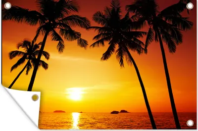 Produktbild von MuchoWow® 60x40 cm Outdoor-Poster Gartendeko Sichtschutz Garten Poster für den Garten  Palme - Sonnenuntergang - Strand - Orange - Tropisch