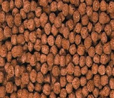 Productafbeelding van Voer voor Sierkarpers in Pellets (10 kg)