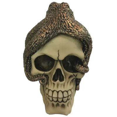Produktbild von Bronze Octopus Schädel Ornament