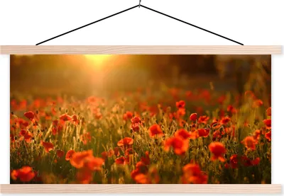 Produktbild von MuchoWow® Textilposter Orangefarbenes Leuchten über den Mohnblumen auf dem Feld 60x30 cm mit holzfarbenen Rahmen - Dekoration