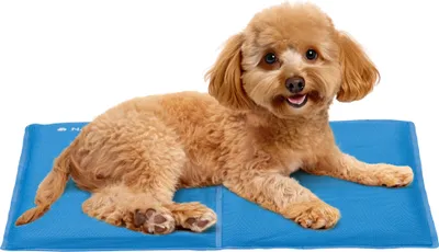 Produktbild von Navaris Kühlmatte für Hunde - Kühlmatte Hund - Selbstkühlende Hautiermatte mit Gel - Kühlmatte für Haustiere - Kein Gefrieren notwendig - 40 x 50 cm -