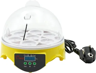 Produktbild von Eierbrüter automatisch 7 Eier, digitale Brutmaschine für Hühner, Enten & Wachteln, Temperaturanzeige, leise, für Hobbyzucht
