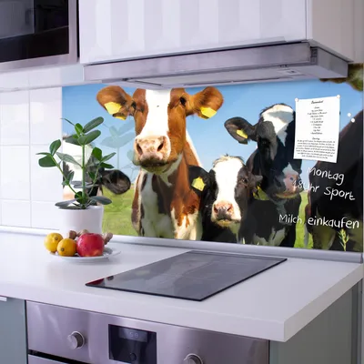 Produktbild von banjado Spritzschutz Küchenrückwand 60x120cm aus Glas Kühe Herd Schutz für die Wand, abwaschbar [KRW6 10225]