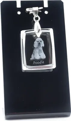 Produktbild von Pudel - Kristallanhänger für Hunde, Foto-Halskette, einzigartiger Schmuck von Art-Dog