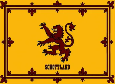Produktbild von vianmo Holzschild 30x40 cm Flagge Schottland Königswappen