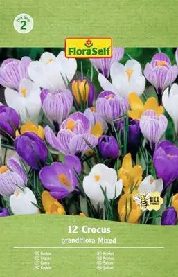 Obrázek produktu pro Krokusy FloraSelf 'Grandiflora mix' 12 ks