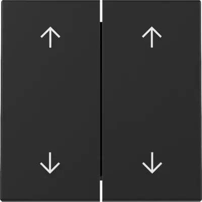 Produktbild von GIRA 3297005 Wippe 2f Pfeile System 55 Schwarz m