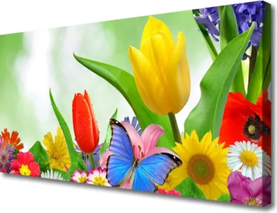 Produktbild von Tulup Leinwand-Bilder 100x50 Wandbild Canvas Kunstdruck Schmetterling Blumen Natur