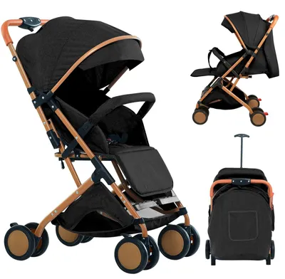 Produktbild von Kinderwagen und Haustierbuggy - Klappbarer Wagen mit Moskitonetz - Für Kinder 1–2 Jahre - Bis 20 kg - Ablagekorb - 4 Räder - Schwarz