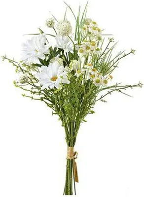 Produktbild von Allium, Dahlie, Gänseblümchen - Strauß, ca. 41 cm