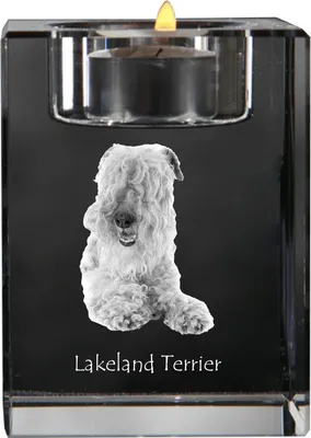 Produktbild von Lakeland Terrier - Kerzenhalter mit Hundefoto, Teelichthalter aus Kristall, personalisiertes Geschenk der Marke Art-Dog