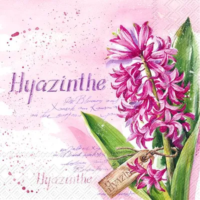 Produktbild von HYAZINTHE IN PINK pink Lunch-Servietten L 985255