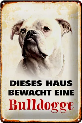 Produktbild von Blechschild Hund 20x30cm dieses Haus bewacht eine Bulldogge