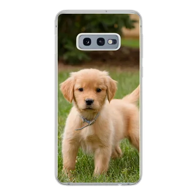 Produktbild von MuchoWow® Handyhülle Schutzhülle Hülle für Samsung Galaxy S10e Golden Retriever Welpe im grünen Gras Silikon Softcase Handy Hülle - Handy