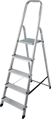 A silver stepladder with five steps and a platform at the top, shown against a white background.