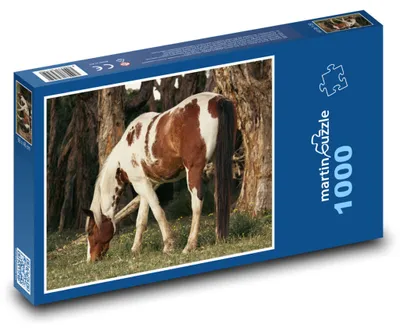 Zdjęcie produktu dla Puzzle 1000 Koń na łące - martinpuzzle