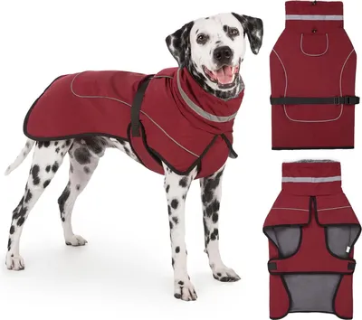 Produktbild von Winterjacke für Hunde - Warme Hundejacke mit Fellkragen und Fleece-Futter