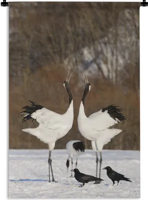 Produktbild von MuchoWow® Wandteppich Wandbehang Zwei japanische Kraniche vollführen einen Paarungstanz im Schnee 90x135 cm Tapisserie Dekoration Wandtuch - Baumwolle - Wandskulptur
