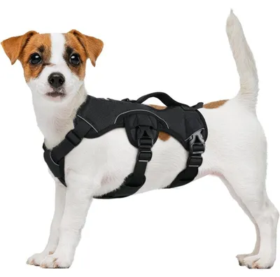 Produktbild von Hundegeschirr Ausbruchsicher mit Griff Atmungsaktiv Verstellbar Gepolstert Schwarz S