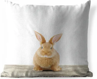 Produktbild von MuchoWow® Outdoor Kissen - Kaninchen - Babykaninchen - Tiere - Kinder - Mädchen - Jungen - 50x50 cm - Wetterfest - Lounge Kissen - Komfortabel - Kissen mit Bild