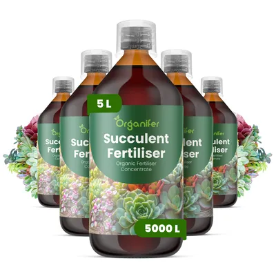 Zdjęcie produktu dla Nawóz Płynny dla Sukulenty 5x1 L – 2-1-8 NPK – Do Sukulenty – Do Maximálny Wzrost, Silne Korzenie i Zdrowy Rozwój – Organifer