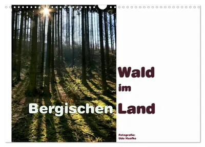 Produktbild von Wald im Bergischen Land 2027 (Wandkalender 2027 DIN A3 quer), CALVENDO Monatskalender