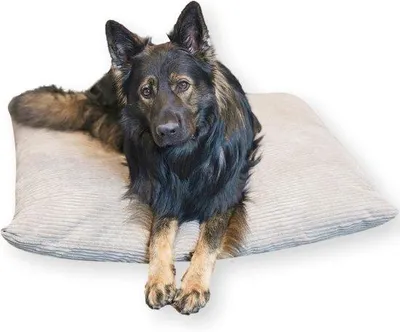 Produktbild von Gemütliches Hundekissen aus Corduroy, waschbares Hundebett für große Hunde - 120 x 100 cm, Latte