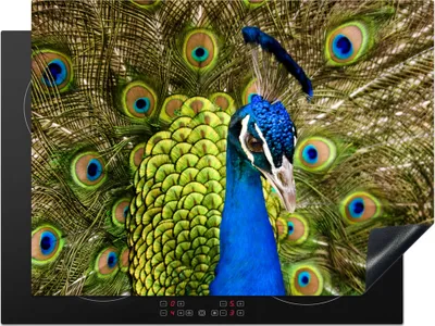 Produktbild von KitchenYeah© Herdabdeckplatte Pfau - Federn - Schnabel , 70x52cm, Küche Deko, Glaskeramikkochfeld Herdabdeckung, Abdeckplatte fùr Kochfeld