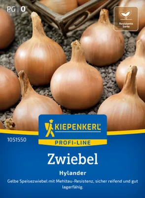 Produktbild von Kiepenkerl Zwiebelsamen Hylander F1 Allium cepa 2-3 lfd. Meter