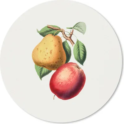Produktbild von MuchoWow® Mauspad Mousepad Früchte - Frühling - Blätter 40x40 cm - Mousepads - Maus Mat - Pad - Mausunterlage - Schreibtisch Accessoires
