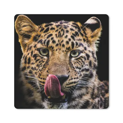 Produktbild von MuchoWow® Mauspad Mousepad Leopard - Schwarz - Nahaufnahme 20x20 cm - Mousepads - Maus Mat - Pad - Mausunterlage - Desk Mat - Bureauartikeln