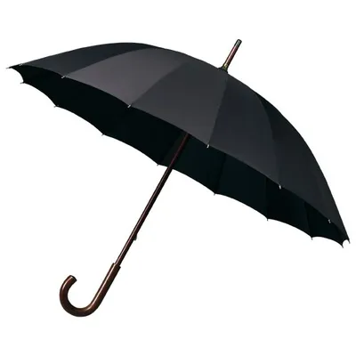 Produktbild von Regenschirm 16 Bahnen 103 cm schwarz