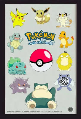 Produktbild von KS61 Pokemon - Pokémon - Gruppe - Bedruckter Spiegel