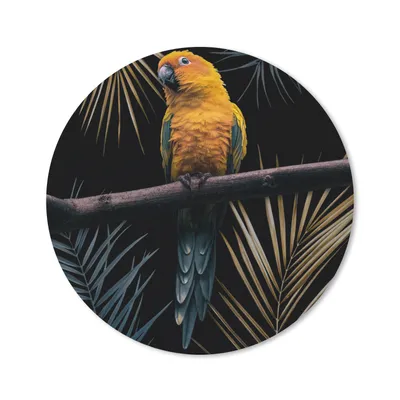 Produktbild von MuchoWow® Mauspad Mousepad Vogel - Papagei - Zweig - Blätter 50x50 cm - Mousepads - Maus Mat - Pad - Mausunterlage - Vinyl