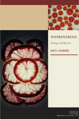 Produktbild von Interdependence