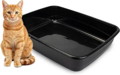 Immagine prodotto di Trasportino per gatti in plastica, Nip 30, igienico e pratico