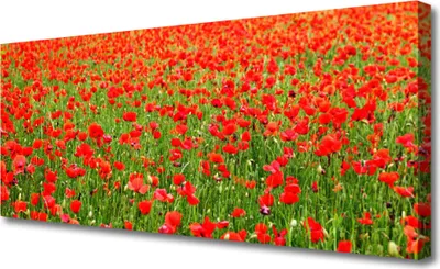 Produktbild von Tulup Leinwand-Bilder 125x50 Wandbild Canvas Kunstdruck Mohnblumen Natur